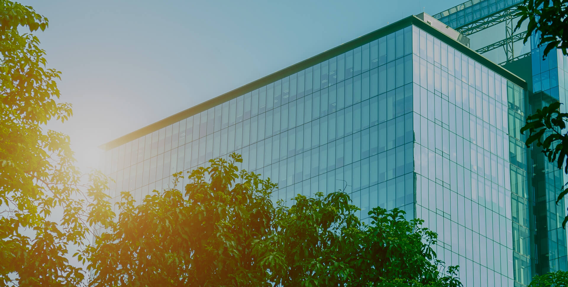 以科学与实效铸就领导力