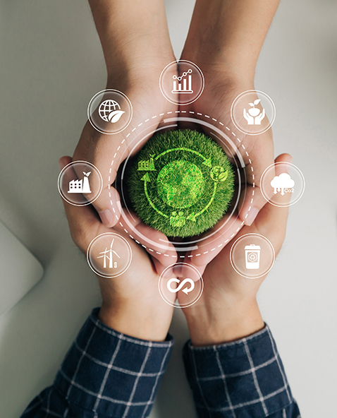 透明与可追溯的供应链