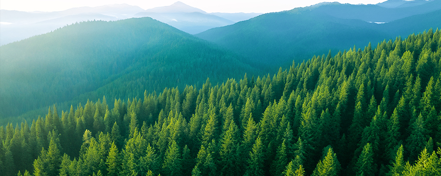 环境责任（Environmental）