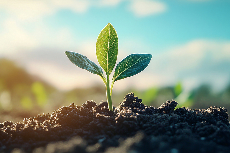 邦尚的自然之选