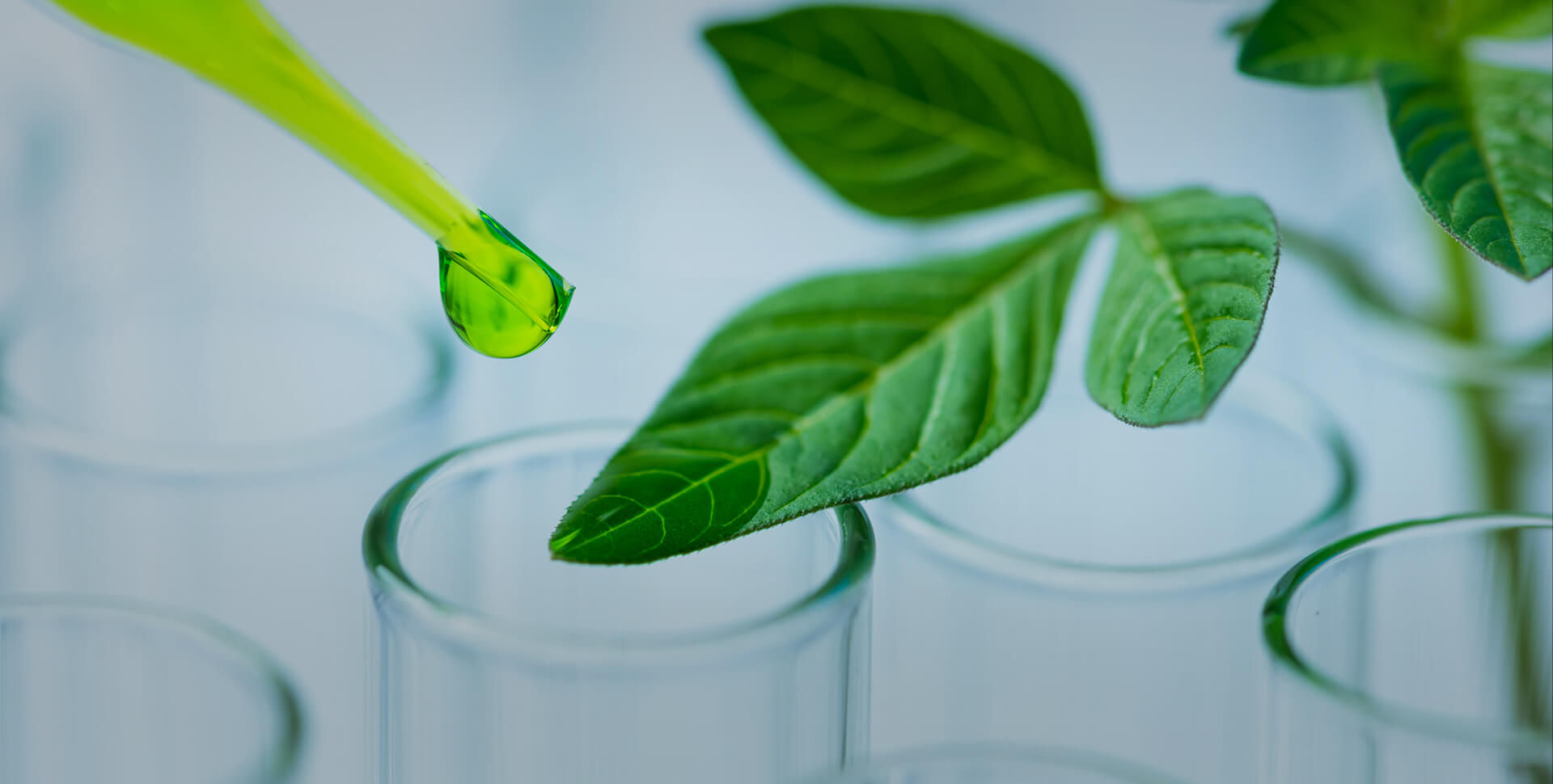 创新动态与抗衰洞察