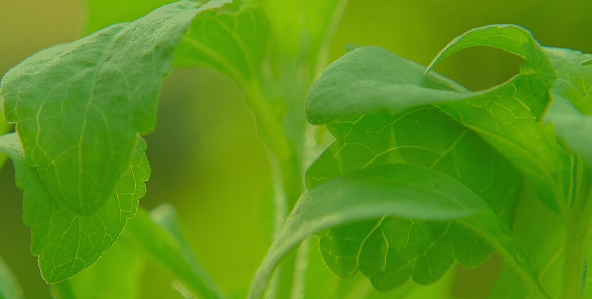 请留言，您将很快收到我们的回复