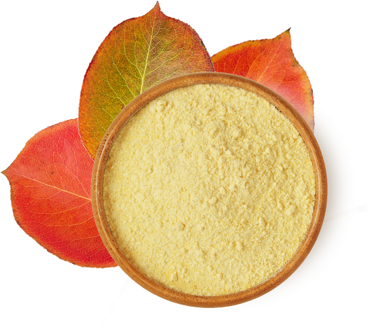 BeFisetin®护肤级非瑟酮