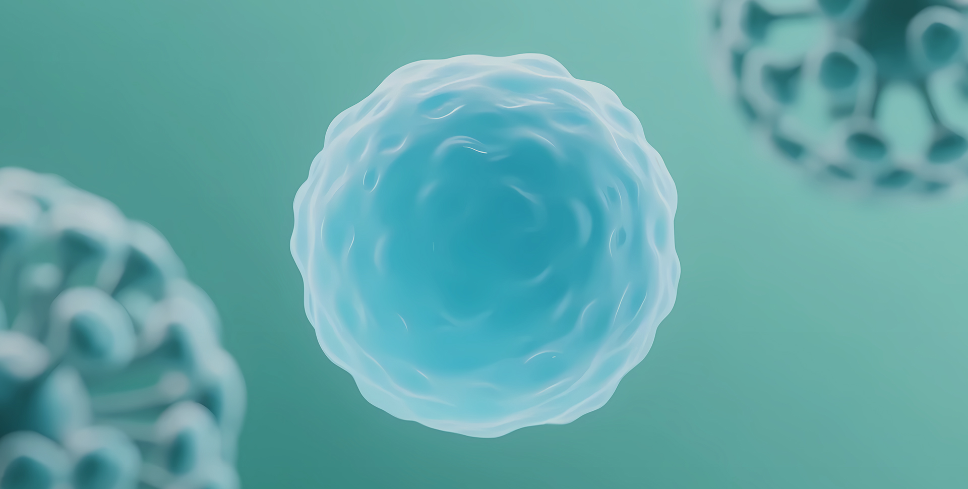 非瑟酮/Fisetin
天然Senolytic，靶向清除僵尸细胞