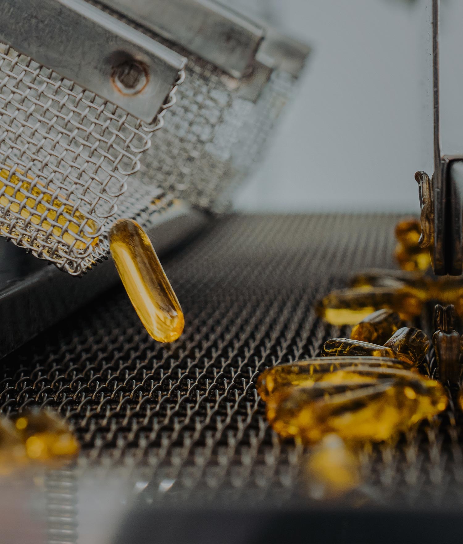 ODM &amp; CDMO 服务