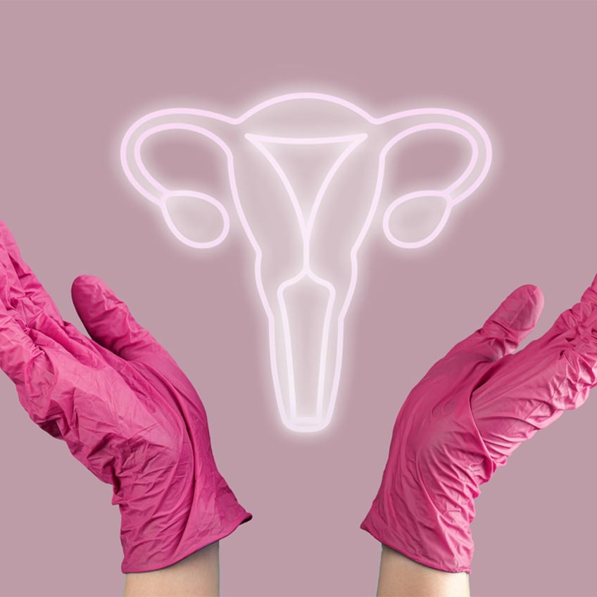 BeFisetin® 非瑟酮