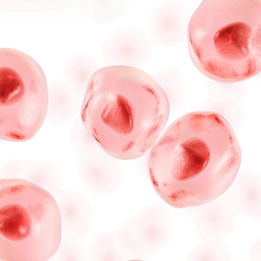 StanYouth® 尿石素A