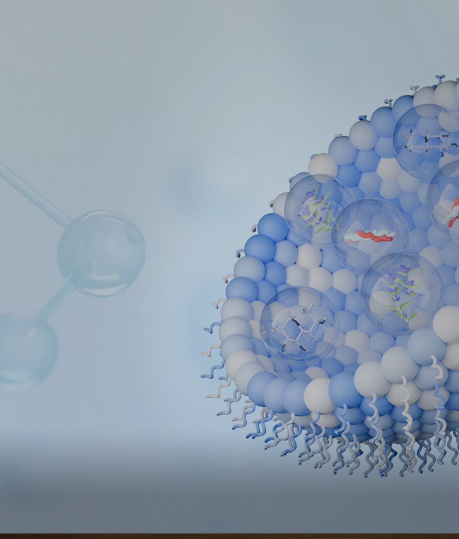 专利脂质载体水溶技术
有效提升吸收率和生物利用度