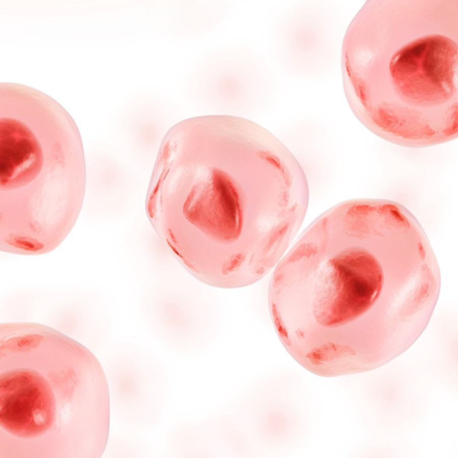 增强皮肤细胞更新