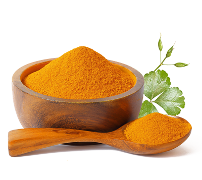 邦尚二氢小檗碱有何不同？