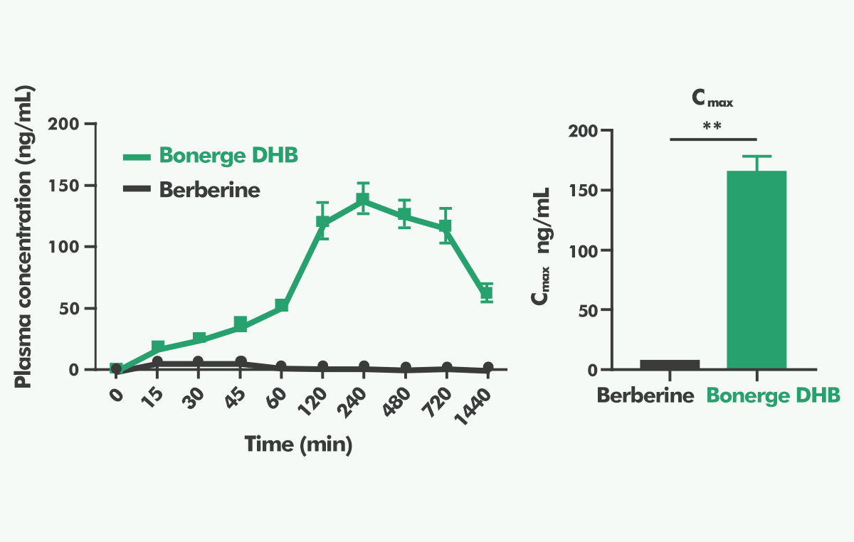 二氢小檗碱药代动力学研究