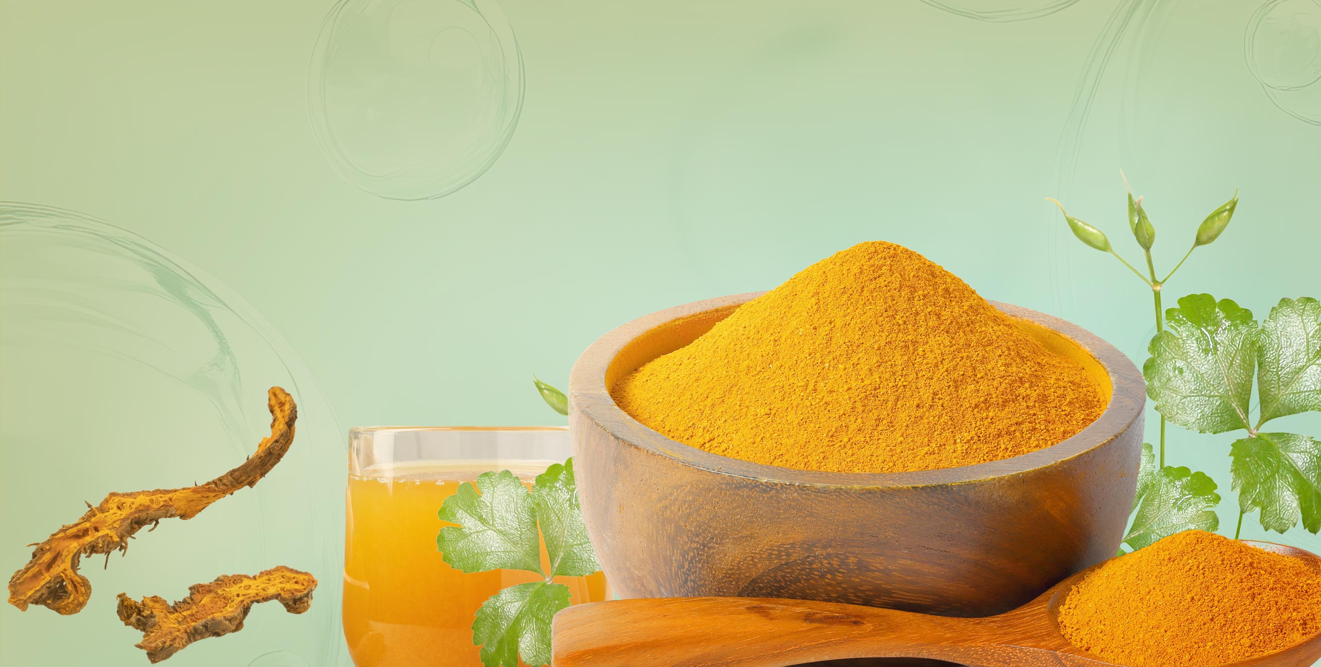 更稳定的二氢小檗碱更好地优化脂质代谢