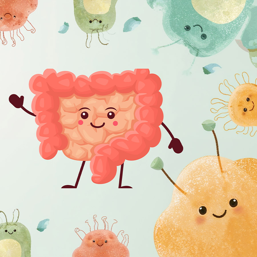 强化肠道屏障
优化整体代谢健康