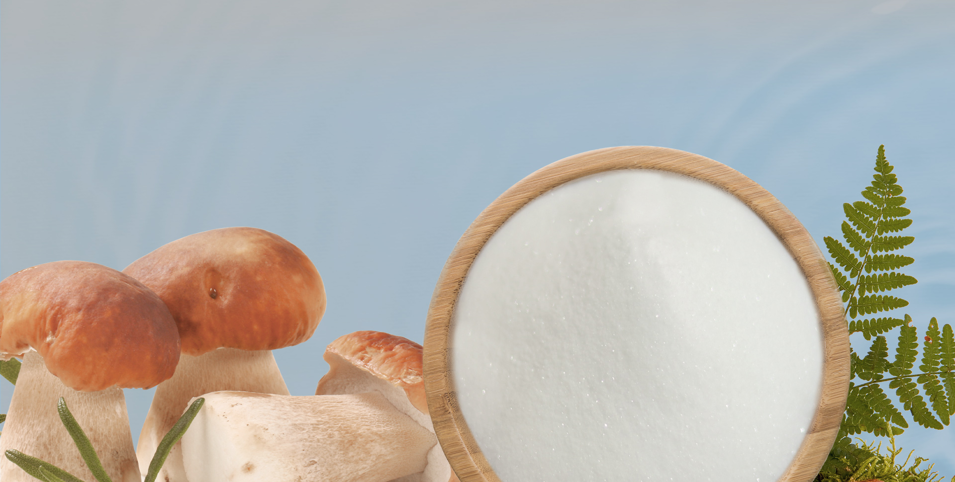 100%天然发酵 ＞99.99%高纯L-麦角硫因