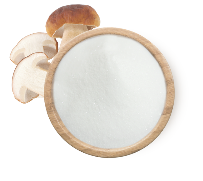 QinMito®是什么 ?