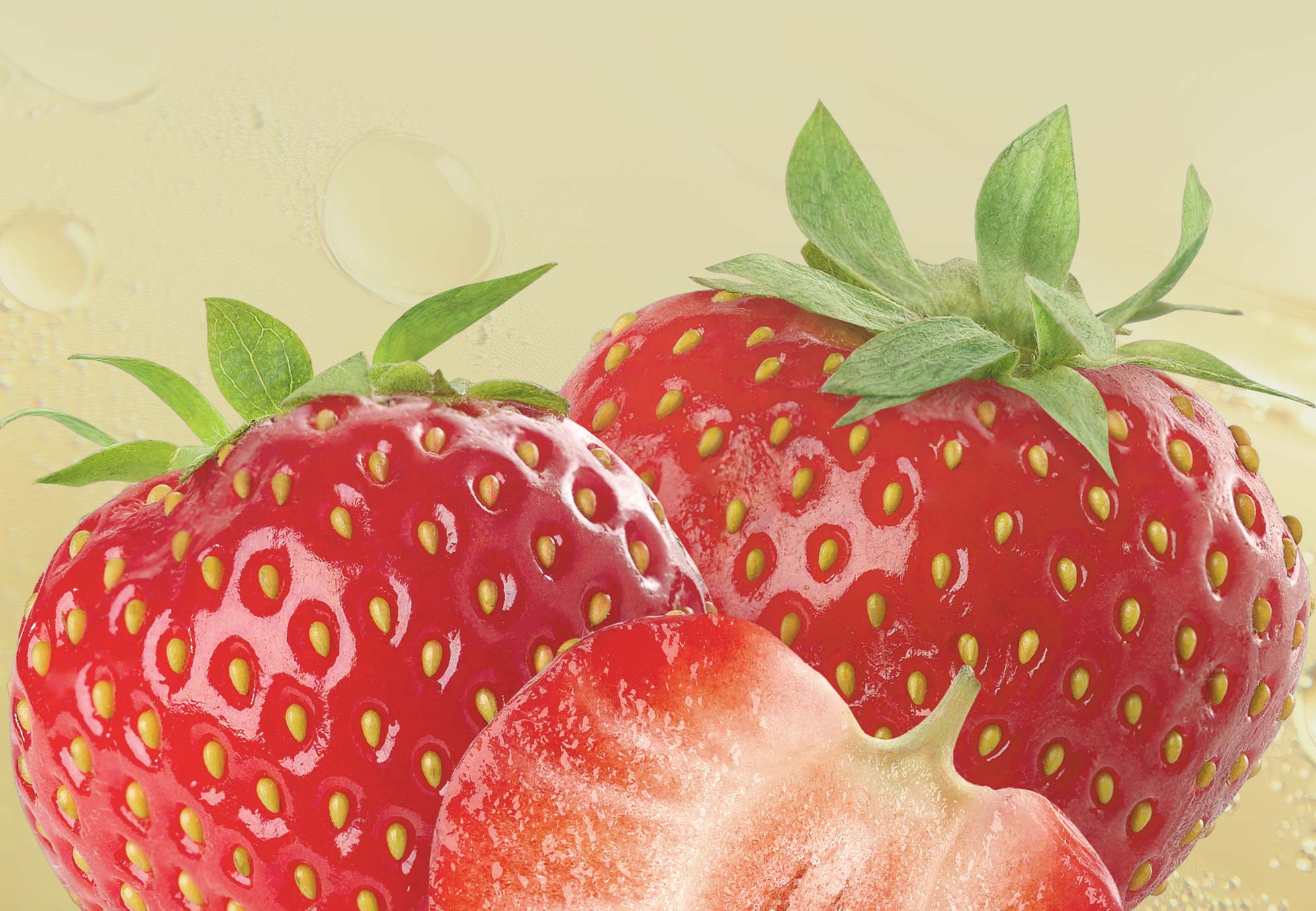 BeFisetin®  护肤线