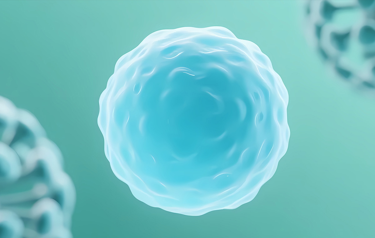 衰老细胞干预研究