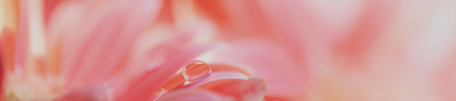 调节肌肤昼夜节律