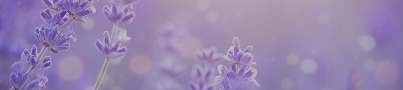 缓解更年期症状
(潮热、肌肉僵硬等)