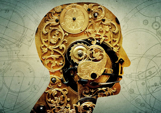 保护神经元
提升认知适应力