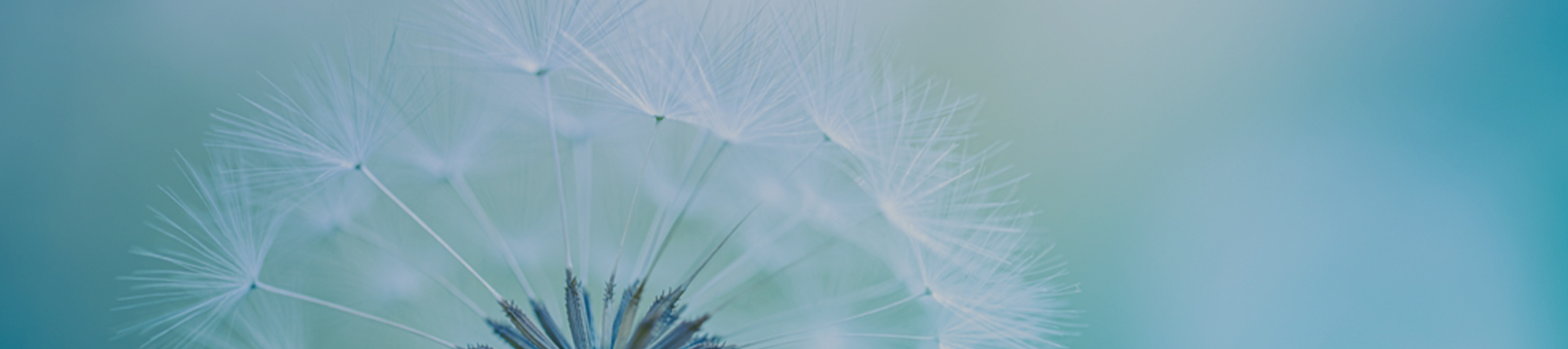 强效抗氧化与皮肤屏障保护