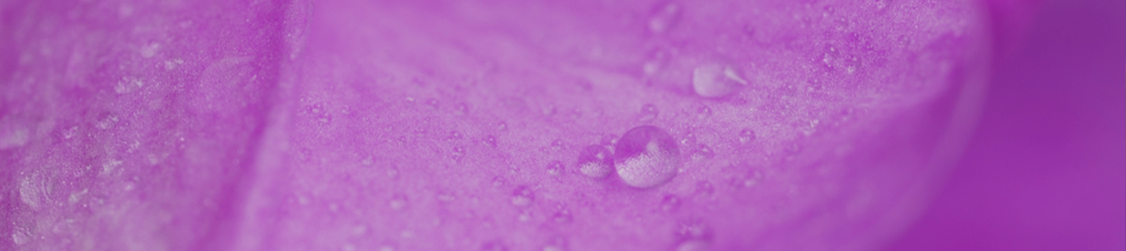 提升线粒体功能
抵御氧化损伤