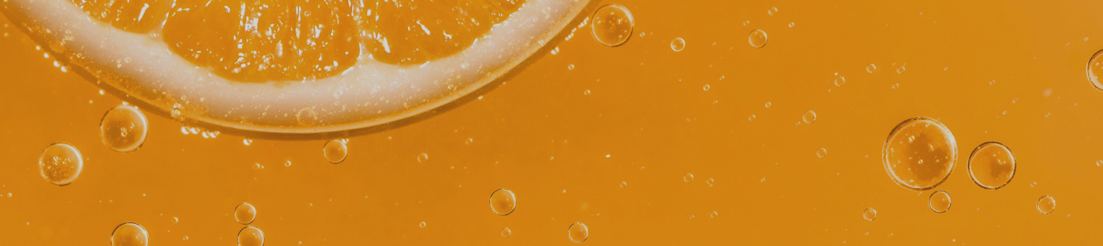 强化肠道屏障
优化整体代谢健康