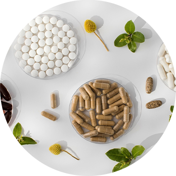 样品开发与打样