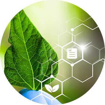 专利活性原料开发