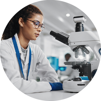 配方优化与迭代