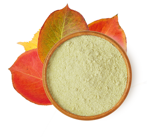 BeFisetin®是什么？