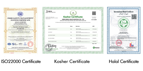 与全球领先品牌合作