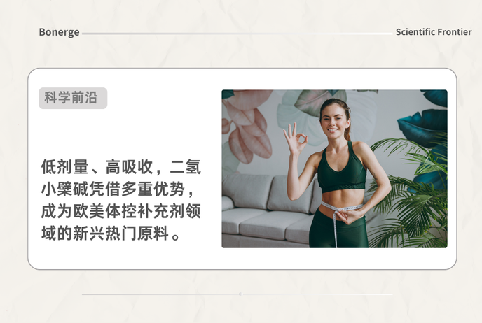 天然体控宠儿二氢小檗碱 为何深受欧美消费者追捧？