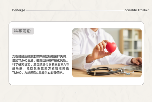 尿石素 A + 雌马酚：绝经后女性的心血管健康新防线！
