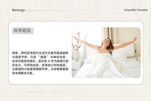 从肠道到大脑 —— 尿石素 A 如何重塑你的睡眠节律