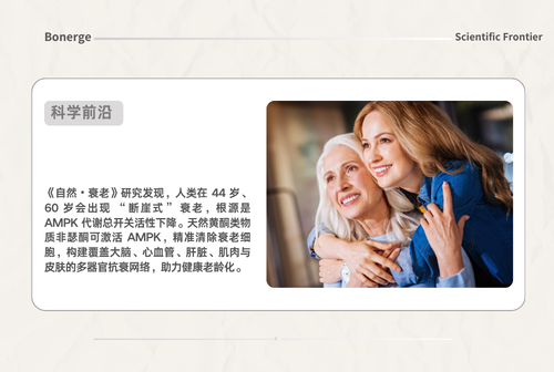 《自然・衰老》重磅启示：激活 AMPK 代谢总开关，非瑟酮如何编织多器官抗衰网络？
