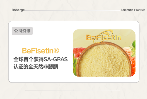 BeFisetin®：全球首个获得SA-GRAS认证的全天然非瑟酮，开启抗衰新纪元