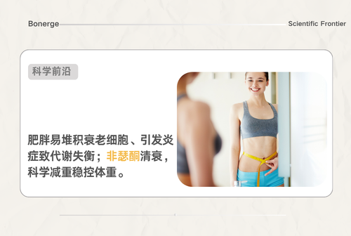 减重总反弹？可能是你体内的 “衰老细胞” 在捣乱