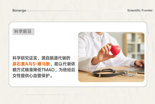 尿石素 A + 雌马酚：绝经后女性的心血管健康新防线！