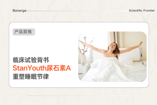 从肠道到大脑 —— 尿石素 A 如何重塑你的睡眠节律