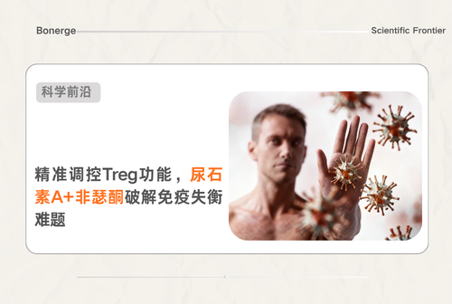3.8亿人遭自身免疫病困扰 诺奖揭示免疫平衡关键 尿石素A+非瑟酮双分子调控方案