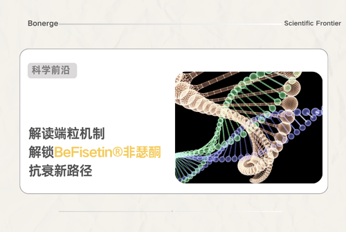 端粒年龄：比日历年龄更真实的衰老指标 | 韩国 368 人研究解读