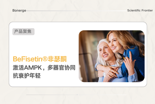 《自然・衰老》重磅启示：激活 AMPK 代谢总开关，非瑟酮如何编织多器官抗衰网络？