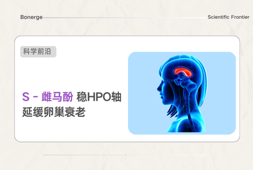 HPO 轴掌控卵巢衰老！7 种热门补剂 2026 临床证据清单