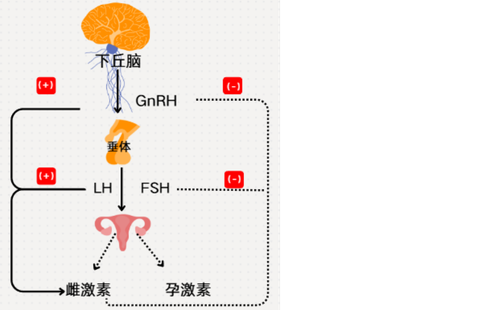 cebbcf557d619f383a9740f9351281ca.png