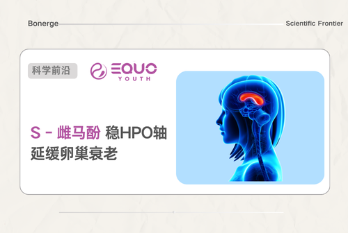 HPO 轴掌控卵巢衰老！7 种热门补剂 2026 临床证据清单