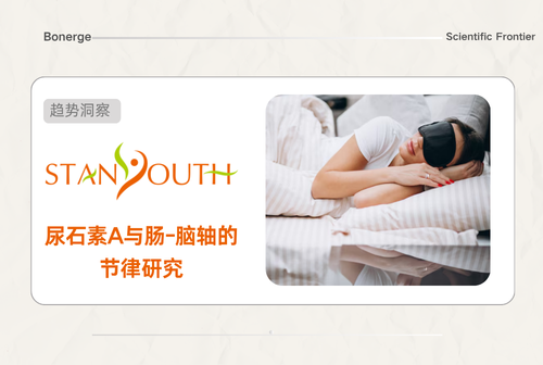 尿石素A与肠-脑轴的节律研究：为什么助眠成分越吃越多，你还是半夜醒？
